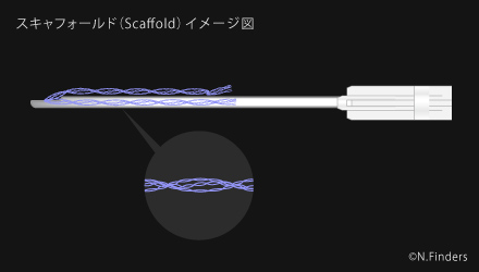 N-Scaffoldのイメージ